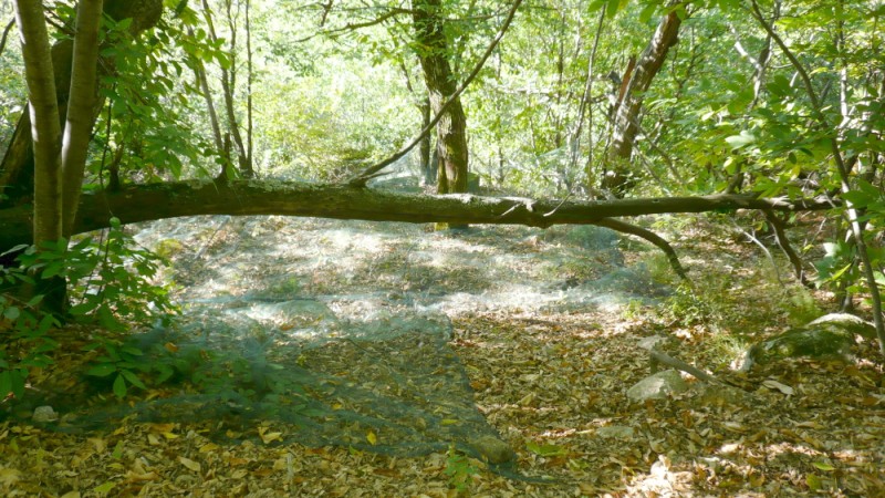 thines_cevennes (17)