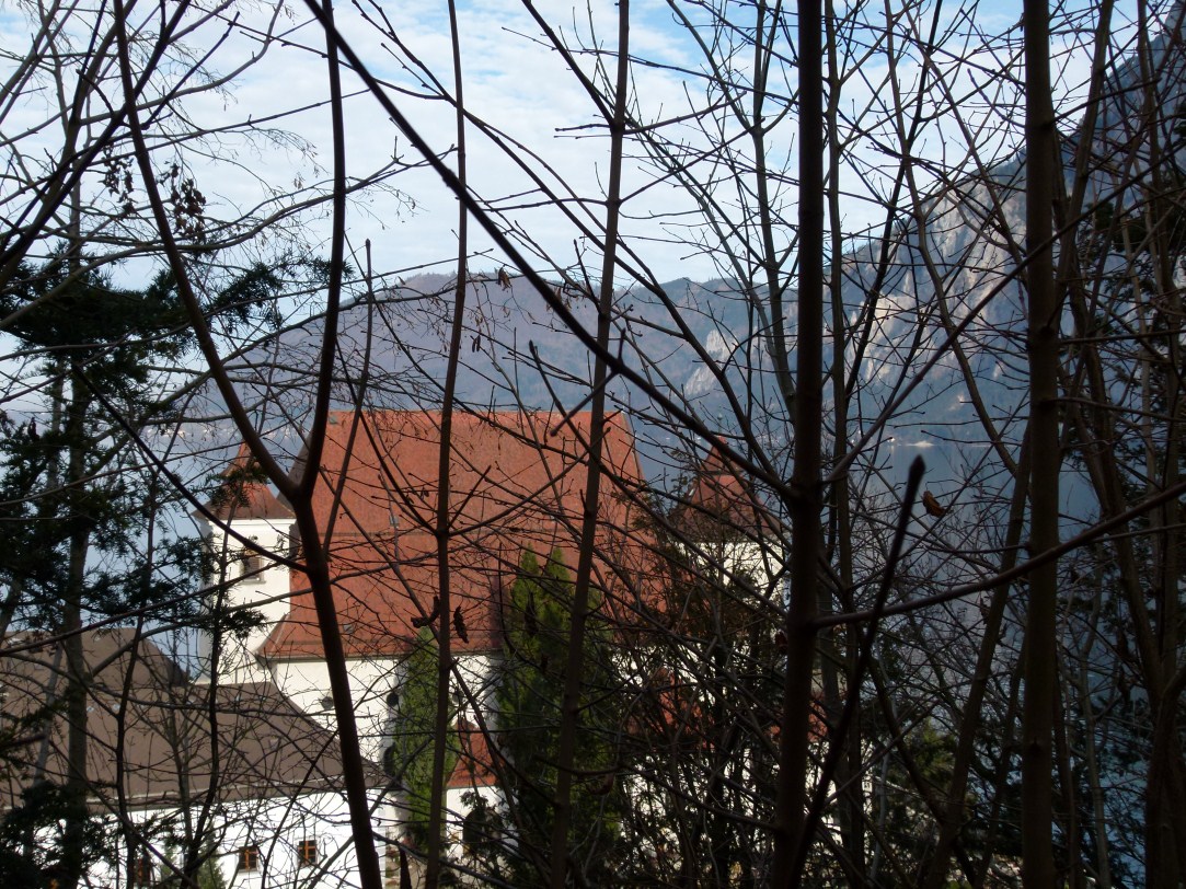 Traunsee_02 (4)